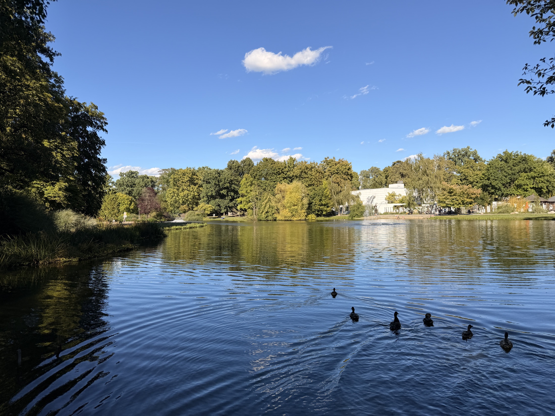 Blick über den Weiher im Nürnberger Stadtpark